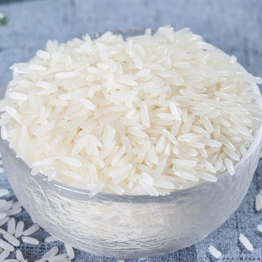 鲜仔五星丝苗米5kg 商品图4