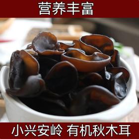 【小兴安岭有机秋木耳  】（两份减10元）被称为 “素中之荤” 可凉拌/炒菜  250克*2袋