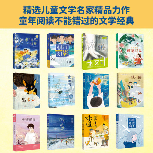 中国原创儿童文学获奖精选（全12册）本土文学大师荟萃，大奖云集的经典小说，涵盖8~16岁孩子成长主题，给孩子纯正的中国故事 商品图2