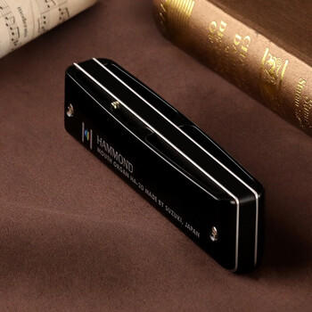 SUZUKI日本铃木进口HA20布鲁斯十孔PADDY调音10孔口琴高级成人专业演奏 商品图3