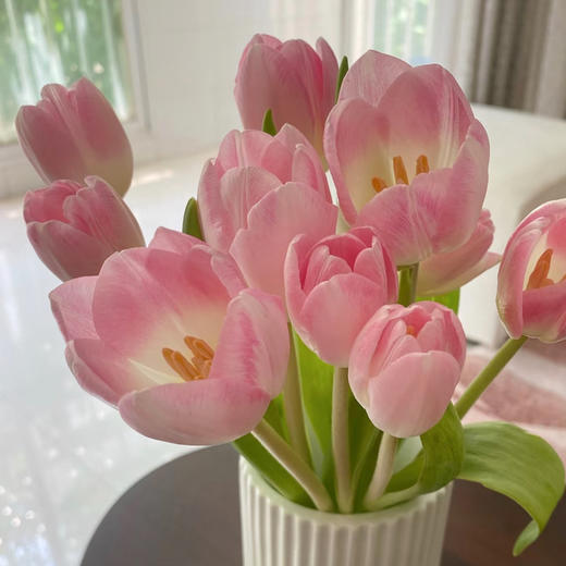 海盛郁金香-浅粉色（马卡龙）-10枝/扎 商品图1