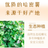 【山东 哈密冰糖薯】甜如蜜(最高可达50°+的糖) 丝滑的连「哈根达斯」都甘拜下风！ 商品缩略图4
