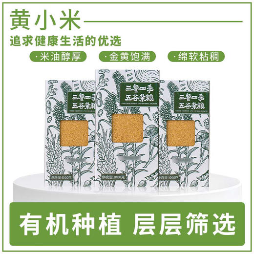 观三江东北精品黄小米1kg—rxs 商品图2