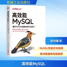 高效能MySQL 提升MySQL性能的技术与技巧