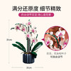 乐高（LEGO）积木10311兰花永生花男女孩儿童玩具生日礼物送女友女朋友摆件 商品缩略图4