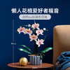 乐高（LEGO）积木10311兰花永生花男女孩儿童玩具生日礼物送女友女朋友摆件 商品缩略图1