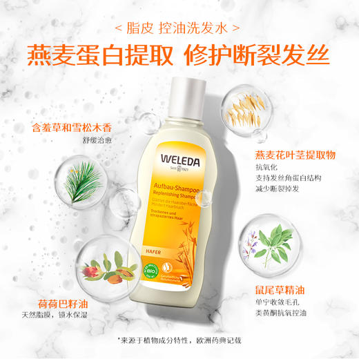 【大南南】WELEDA维蕾德迷迭香头皮护理精华液100ml小米洗发水190ml燕麦洗发水190ml 商品图5