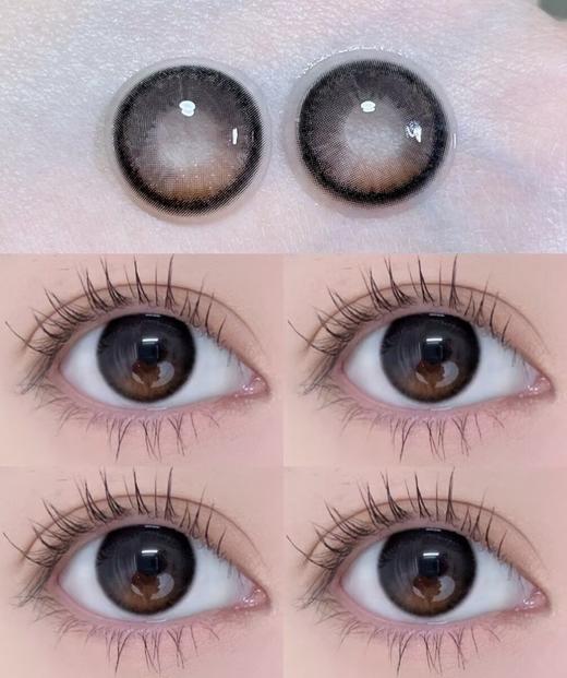 Brown Color 小金桔【日抛】 商品图0