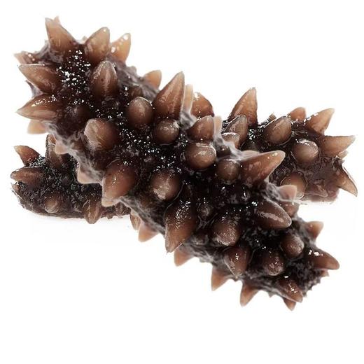 大连壮元海 速发干海参 商品图3