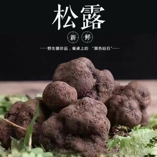 大凉山高海拔野生黑松露！每一颗都是自然馈赠的 “地下黑金” 商品图0