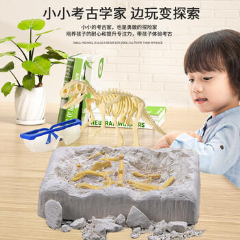 古欧考古挖掘玩具恐龙化石儿童挖宝藏男孩女孩全套工具6-12岁生日礼物 商品图5