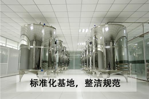 【中国非遗技艺 野生蓝莓酒 】原始酿酒技法  8度750ml 双支装 商品图3