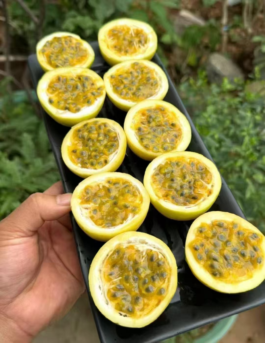 可直接空口吃的广西最优选黄金百香果（产地直邮）