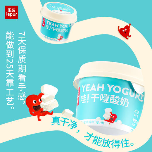 【顺丰】乐纯 干噎奶酪（原味/椰子）100g*6 商品图0