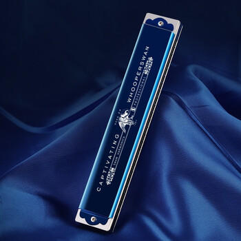 天鹅（SWAN）24孔复音口琴日本进口音簧高级专业演奏口琴C调（蓝色） 商品图4