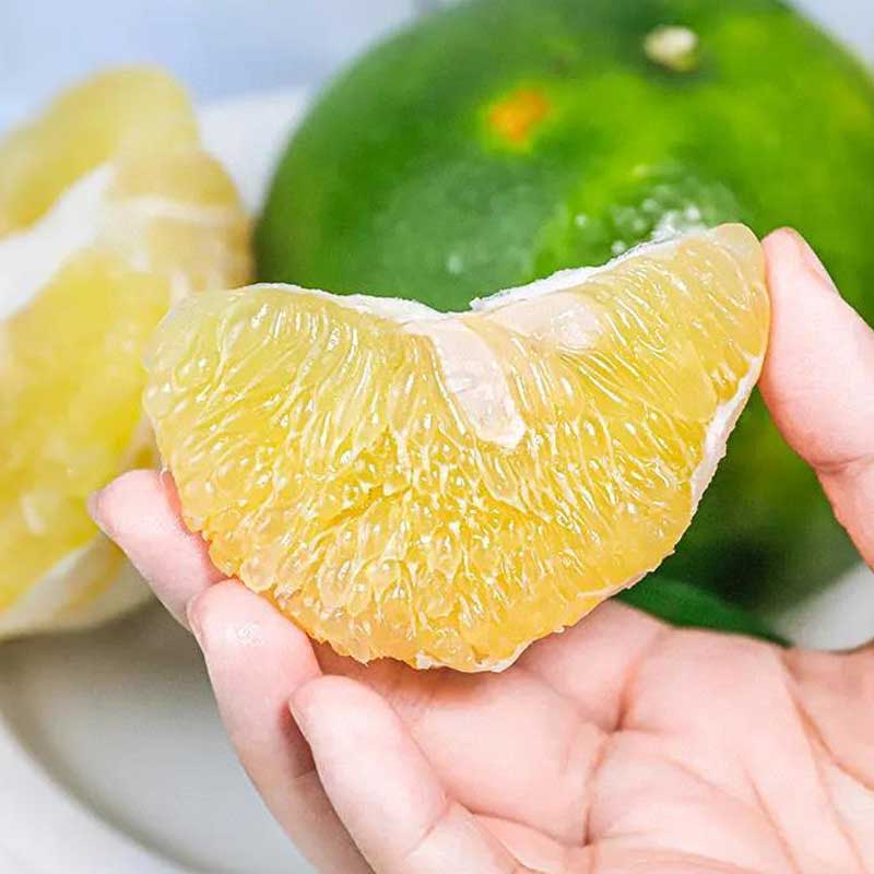 福建翡翠爆汁香柚 清甜回甘 老树自然熟