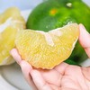 福建翡翠爆汁香柚 清甜回甘 老树自然熟 商品缩略图0