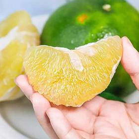 福建翡翠爆汁香柚 清甜回甘 老树自然熟