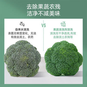 子初奶瓶果蔬清洗剂 草本植萃清洗液餐具奶嘴清洗液500g*1瓶+500g*3袋 商品图6