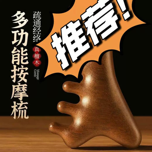 龙凤檀四合一按摩梳 商品图0