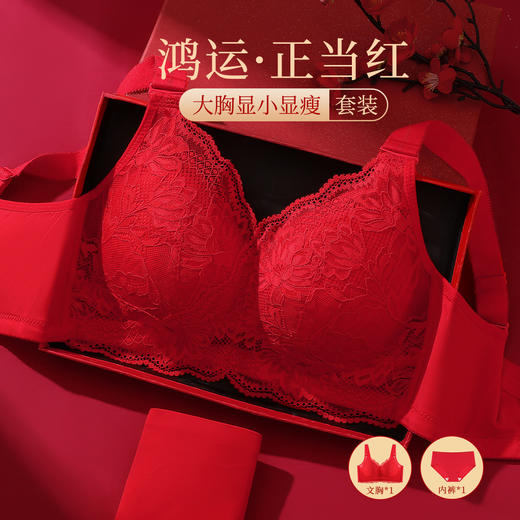 蛇年本命年新婚大红色内衣文胸套装性感蕾丝大胸显瘦显小收副乳子墨浮华套红 商品图0