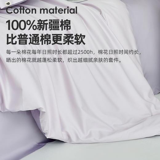 60支全棉贡缎四件套(梦幻紫) 商品图1
