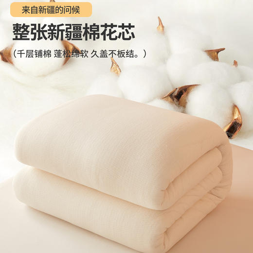 【被套可拆卸清洗】华夫格可拆洗新疆棉花被 冬被春秋被被芯 商品图1