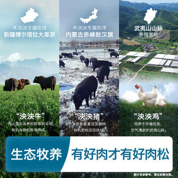 禾泱泱无调味小小鸡肉松32g 含锌高蛋白肉松 牧麓原生98%鲜鸡肉 商品图1