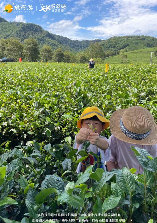 【清远】英德勇闯秘境研学2日游 商品图2