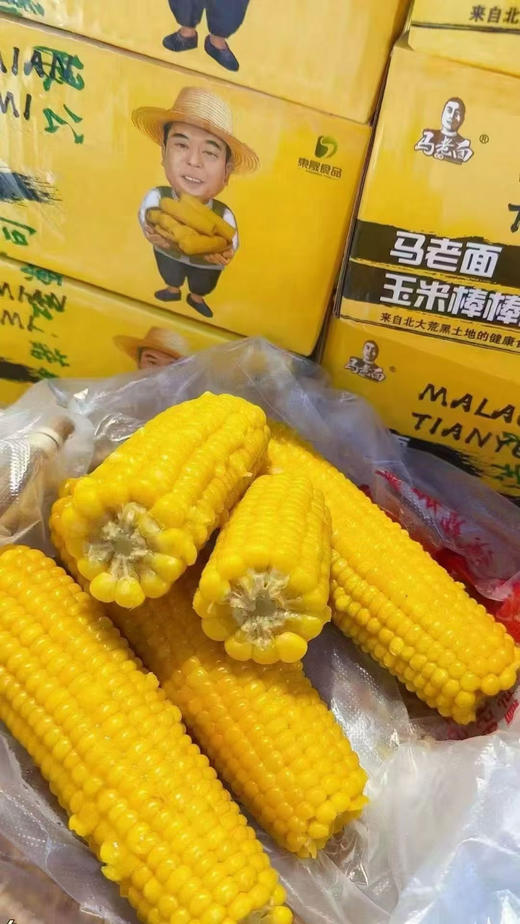 马老面玉米棒棒 商品图1