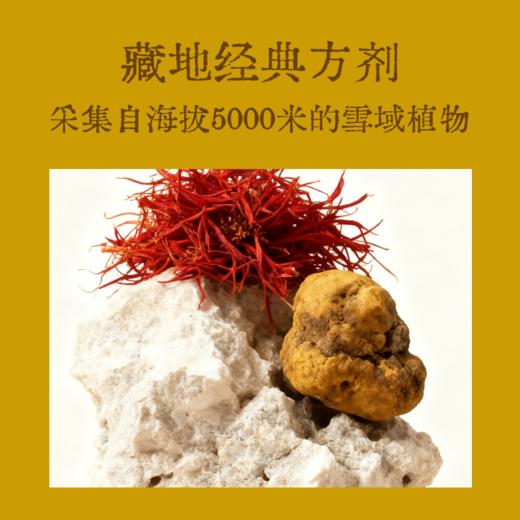 【真不二】新品牛黄木香贴散结贴咳咳有痰喘藏药膏药贴（30贴/盒） 商品图3