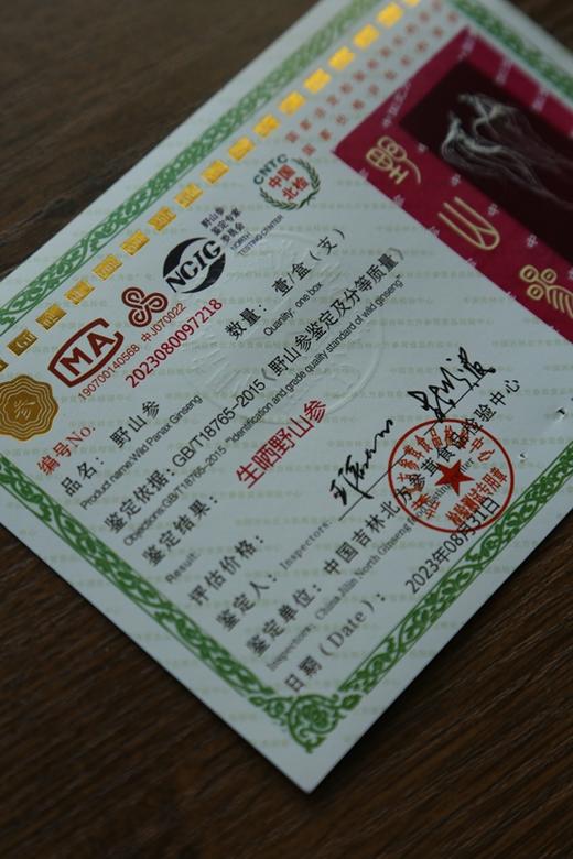 【长白山野山参】O农残  野生人参  每一盒都带鉴定证书  价格只是市场一半 商品图3