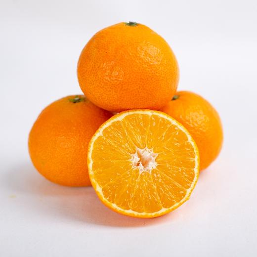 象山红美人  | 橘中爱马仕 顶级果品 甜蜜爆汁 果肉细腻 可以吸着吃的果冻橘 商品图2