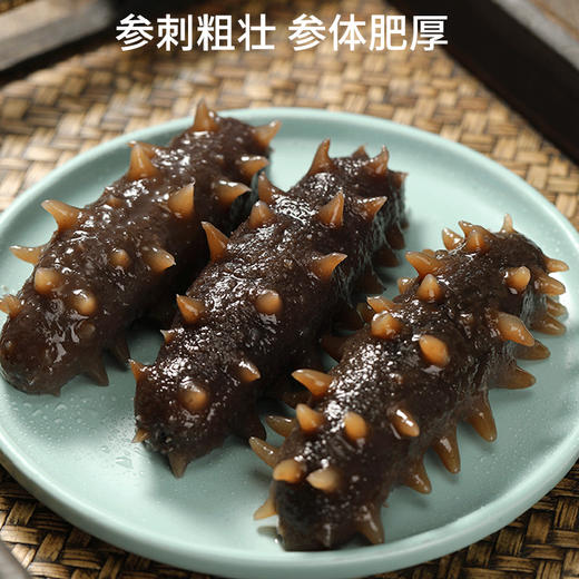 大连壮元海 即食海参 商品图2