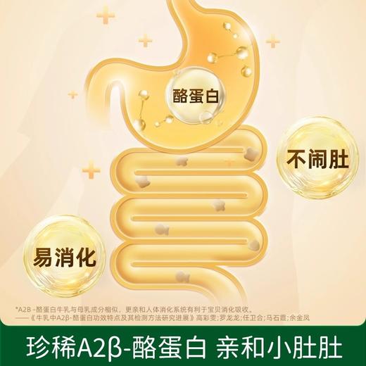 碧欧奇饼干类合集 商品图3