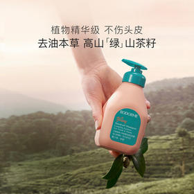 贝德美青少年洗发水去屑控油儿蓬松止痒清爽男孩女孩学生 335ml