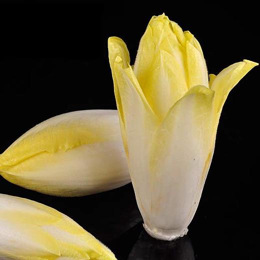 寿光   玉兰菜：“避光生长的蔬菜贵族”500g
 商品图1