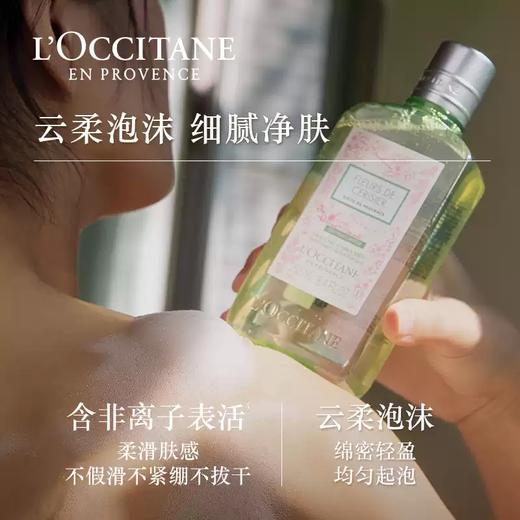 L'occitane欧舒丹 全新青提樱恋沐浴露250ml 商品图1