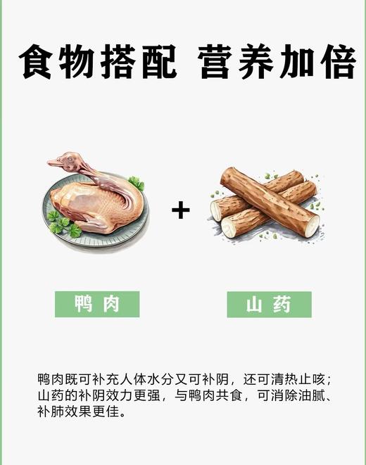 狗主食鲜粮 老鸭炖山药200g一包装/制熟发货常温保存开袋即食 商品图3