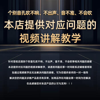 东方鼎（EAST TOP）半音阶口琴12孔48音初学金色梦想者T12-48K 商品图3