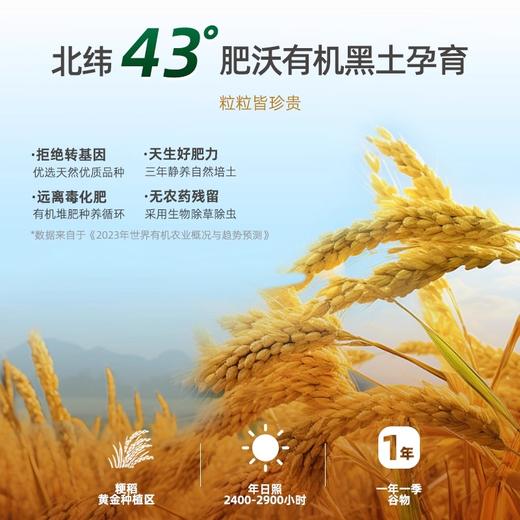 碧欧奇有机婴幼儿米饼 商品图2