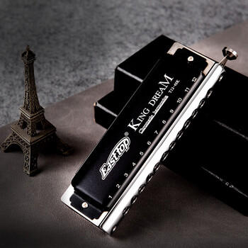 东方鼎（EAST TOP）半音阶口琴12孔48音初学金色梦想者T12-48K 商品图5