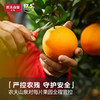 农夫山泉17.5°脐橙铂金果3kg鲜橙江西核心橙产区酸甜可口25年新鲜采摘上市 商品缩略图6