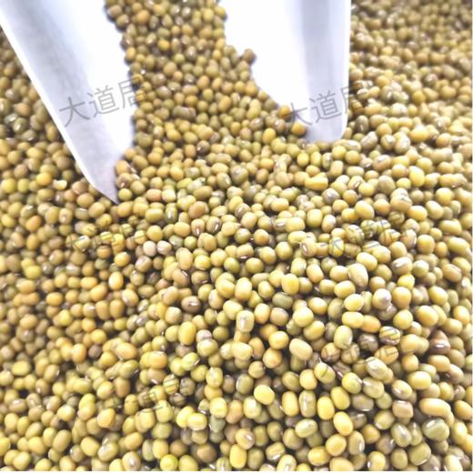 内蒙黄豆、黑豆、赤小豆、绿豆 商品图3