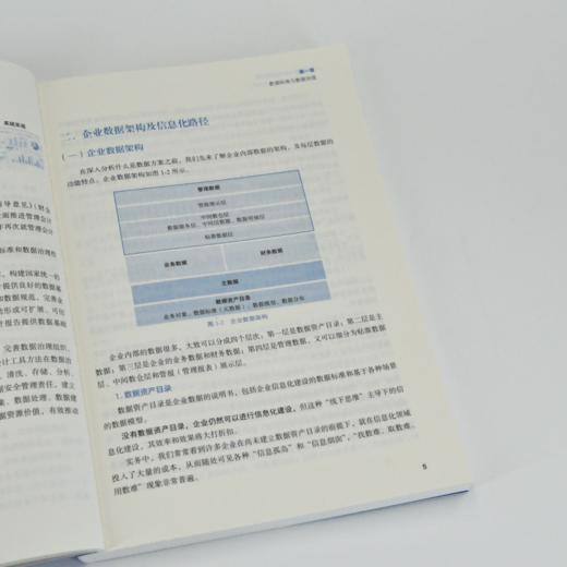 数据治理与*预算管理——业财融合下的预算体系构建 资金专项税金预算报表财务会计实战管理书籍 商品图2