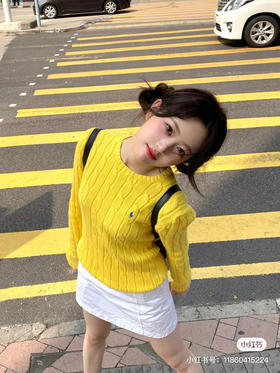 韩国订单rl麻花毛衣101504