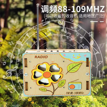 瑞禾实验玩具手工diy收音机木质科技手工小制作发明男女孩新年礼物 商品图1