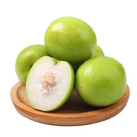 新鲜水果 珍珠枣小青枣  500g