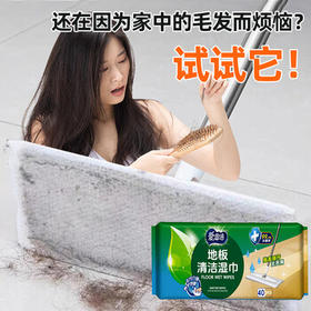 爱恩倍地板湿纸巾加大加厚家庭清洁拖地抹布静电除尘扫灰工具儿童房可用