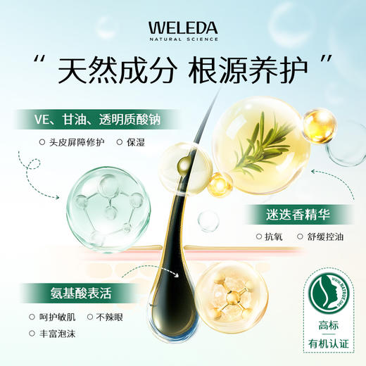 【大南南】WELEDA维蕾德迷迭香头皮护理精华液100ml小米洗发水190ml燕麦洗发水190ml 商品图10